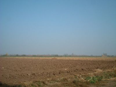Principal view