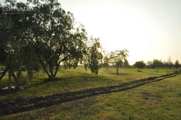 Sitio en Venta, Chicureo Centro