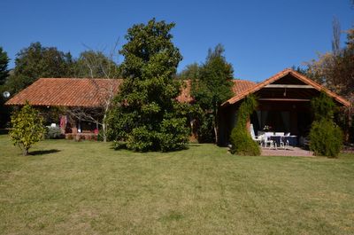 Principal view