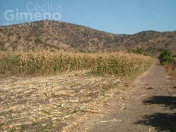 Sitio en Venta, Colina