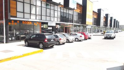 Principal view