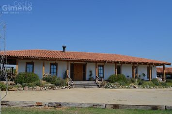 Agrícola en Venta, Lampa-Batuco