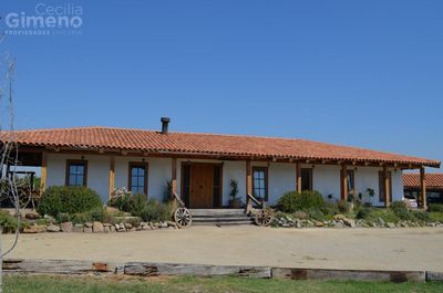 Principal view