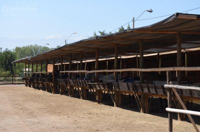 Imagen Interior