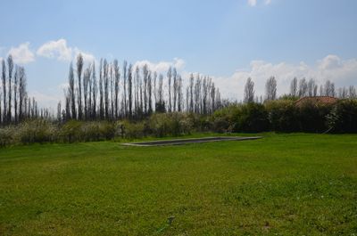 Imagen Interior