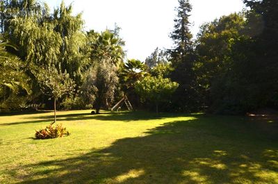 Imagen Interior Numero 15