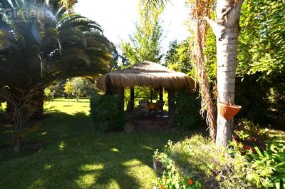 Imagen Interior Numero 10