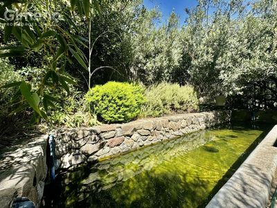 Imagen Interior Numero 13