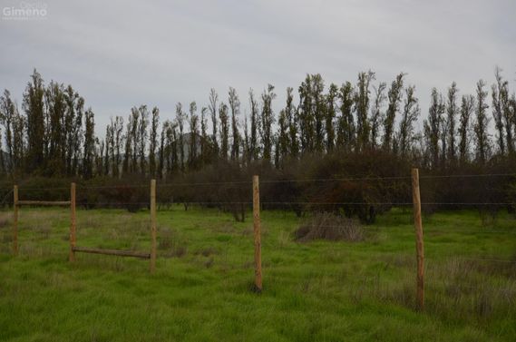 Imagen de Portada tres