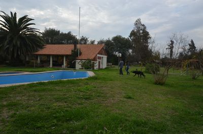Principal view