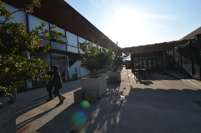 Principal view