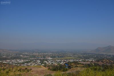 Principal view