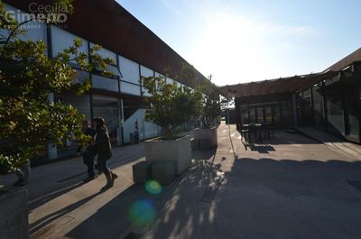 Principal view