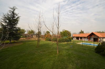 Principal view