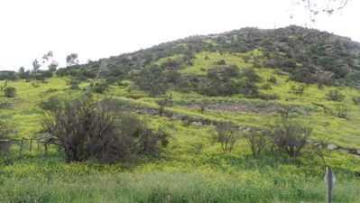 Sitio en Venta, Chicureo Oriente