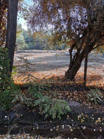 Sitio en Venta, Chicureo Centro