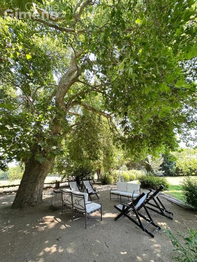 Imagen Interior Numero 15