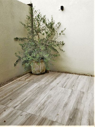 Imagen Interior