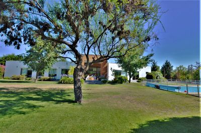 Principal view