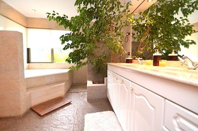 Imagen Interior Numero 19