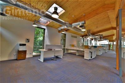 Principal view