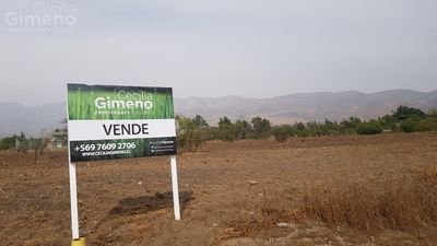 Principal view