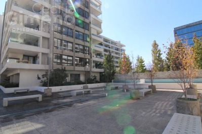 Principal view