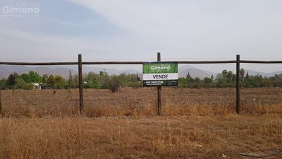 Principal view