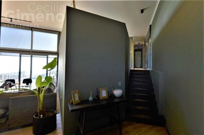 Imagen Interior Numero 6