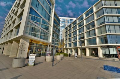 Principal view