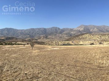 Sitio en Venta, Chacabuco