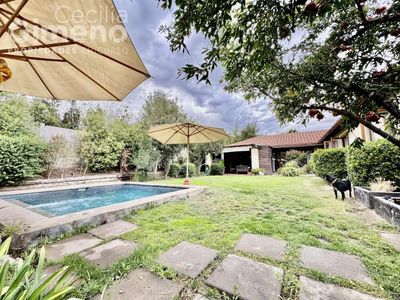 Imagen Interior Numero 6
