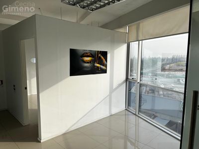 Principal view
