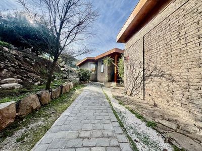 Imagen Interior Numero 11