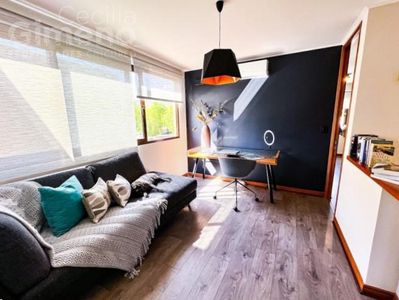 Imagen Interior Numero 12