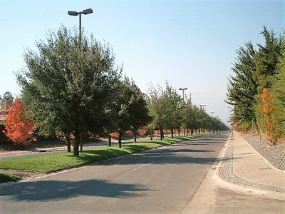 Imagen Interior