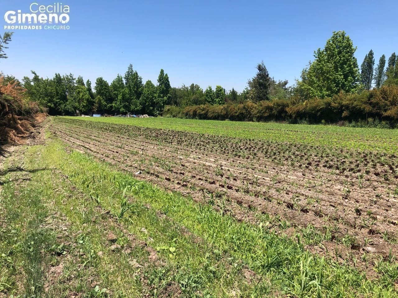 Sitio en Venta, Chicureo Poniente