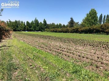 Sitio en Venta, Chicureo Poniente