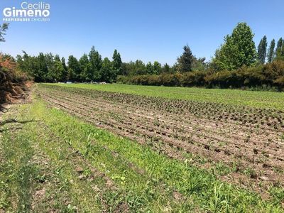 Sitio en Venta, Chicureo Poniente