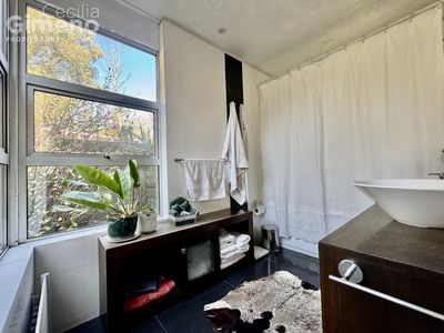 Imagen Interior Numero 20