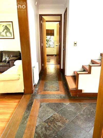 Imagen Interior Numero 13