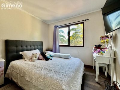 Imagen Interior Numero 17