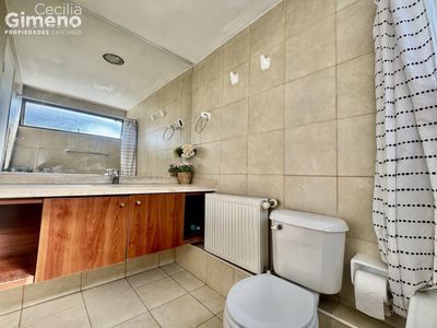 Imagen Interior Numero 17