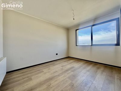 Imagen Interior Numero 11