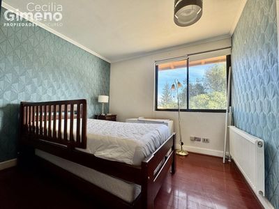 Imagen Interior Numero 19