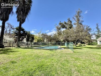 Imagen Interior Numero 6