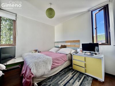 Imagen Interior Numero 18