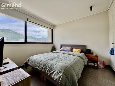 Imagen Interior Numero 12
