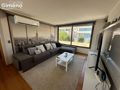 Imagen Interior Numero 11