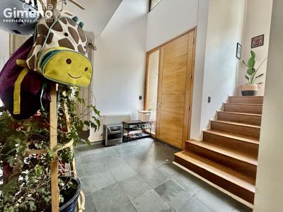 Imagen Interior Numero 7